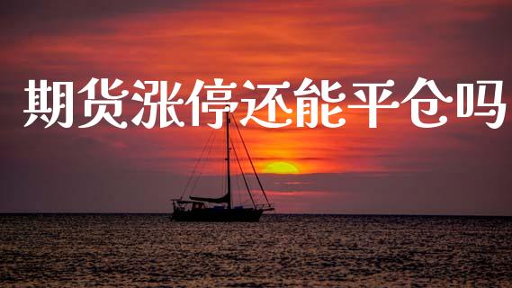 期货涨停还能平仓吗_https://www.hbaoqiang.com_国际期货_第1张