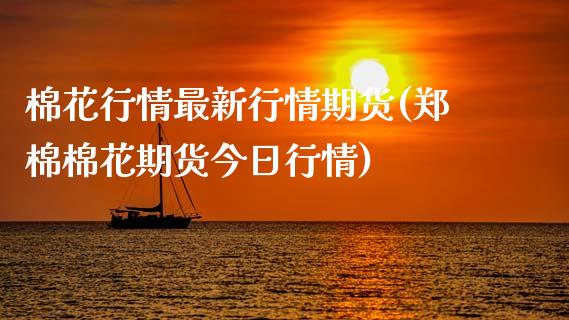棉花行情最新行情期货(郑棉棉花期货今日行情)_https://www.hbaoqiang.com_理财百科_第1张