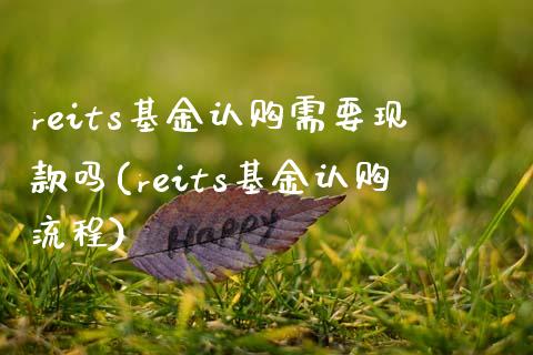 reits基金认购需要现款吗(reits基金认购流程)_https://www.hbaoqiang.com_交易心态_第1张