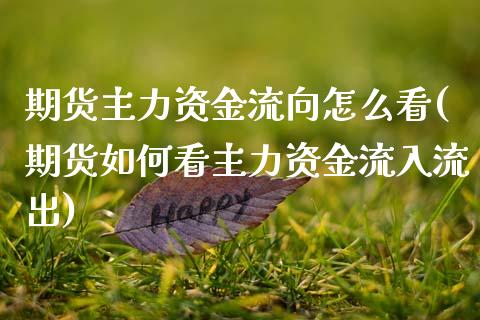 期货主力资金流向怎么看(期货如何看主力资金流入流出)_https://www.hbaoqiang.com_期货平台_第1张