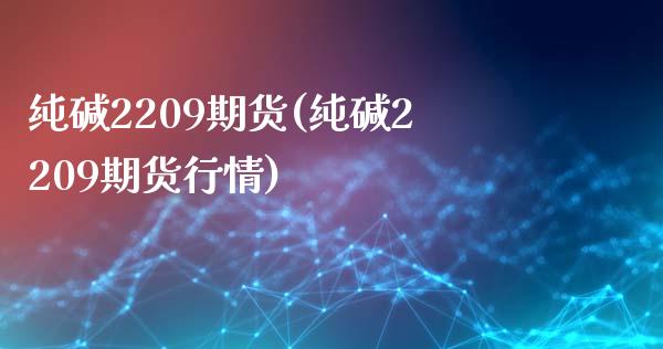 纯碱2209期货(纯碱2209期货行情)_https://www.hbaoqiang.com_期货学习_第1张