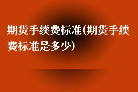期货手续费标准(期货手续费标准是多少)_https://www.hbaoqiang.com_实战心得_第1张