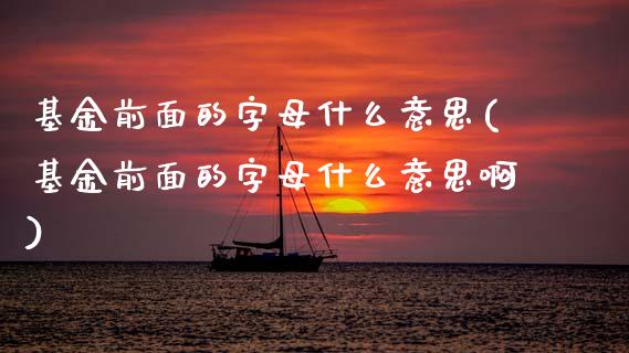 基金前面的字母什么意思(基金前面的字母什么意思啊)_https://www.hbaoqiang.com_德指期货_第1张