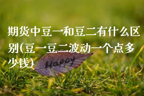 期货中豆一和豆二有什么区别(豆一豆二波动一个点多少钱)_https://www.hbaoqiang.com_实战心得_第1张