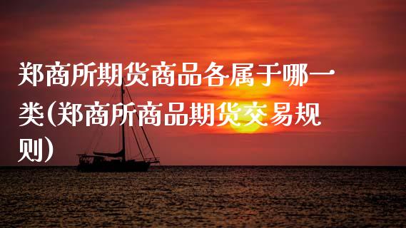 郑商所期货商品各属于哪一类(郑商所商品期货交易规则)_理财百科_第1张_宝强期货直播间 郑商所期货商品各属于哪一类(郑商所商品期货交易规则)_https://www.hbaoqiang.com_理财百科_第1张