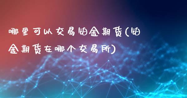 哪里可以交易铂金期货(铂金期货在哪个交易所)_https://www.hbaoqiang.com_理财百科_第1张