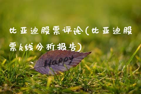 比亚迪股票评论(比亚迪股票k线分析报告)_https://www.hbaoqiang.com_交易心态_第1张