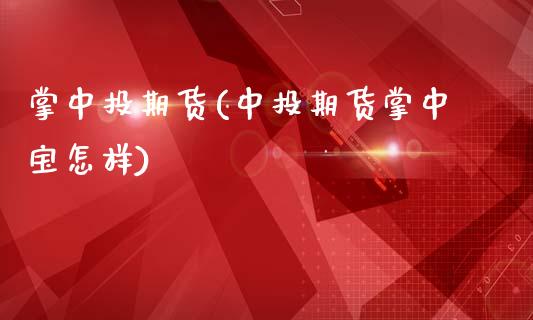 掌中投期货(中投期货掌中宝怎样)_https://www.hbaoqiang.com_股指期货_第1张