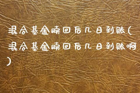 混合基金赎回后几日到账(混合基金赎回后几日到账啊)_https://www.hbaoqiang.com_基金投资_第1张