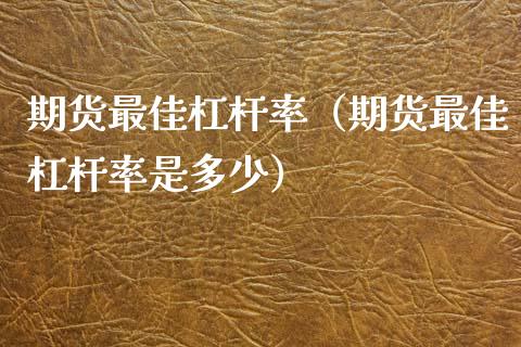 期货最佳杠杆率（期货最佳杠杆率是多少）_https://www.hbaoqiang.com_期货入门_第1张