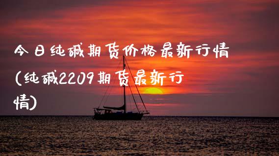 今日纯碱期货价格最新行情(纯碱2209期货最新行情)_https://www.hbaoqiang.com_期货学习_第1张