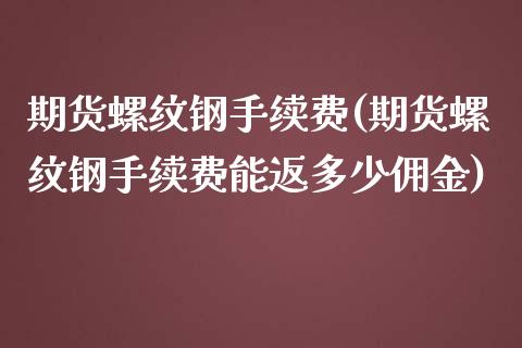 期货螺纹钢手续费(期货螺纹钢手续费能返多少佣金)_https://www.hbaoqiang.com_期货软件_第1张