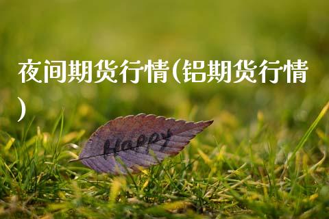 夜间期货行情(铝期货行情)_https://www.hbaoqiang.com_股指期货_第1张