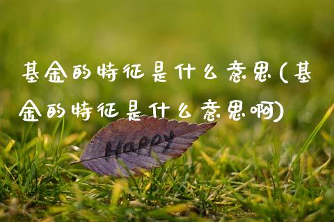基金的特征是什么意思(基金的特征是什么意思啊)_https://www.hbaoqiang.com_实战心得_第1张