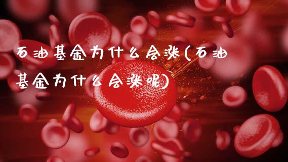 石油基金为什么会涨(石油基金为什么会涨呢)_https://www.hbaoqiang.com_纳指期货_第1张