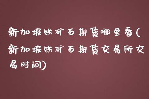 新加坡铁矿石期货哪里看(新加坡铁矿石期货交易所交易时间)_https://www.hbaoqiang.com_期货软件_第1张