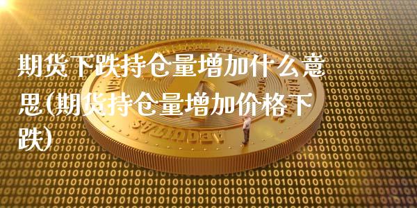 期货下跌持仓量增加什么意思(期货持仓量增加价格下跌)_https://www.hbaoqiang.com_内盘期货_第1张