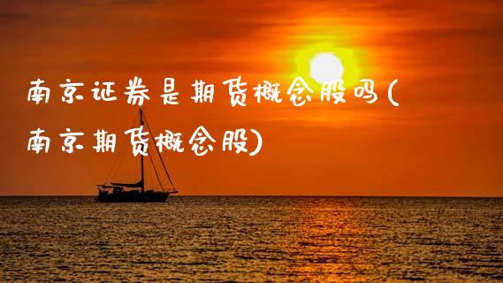 南京证券是期货概念股吗(南京期货概念股)_https://www.hbaoqiang.com_期货手续费_第1张