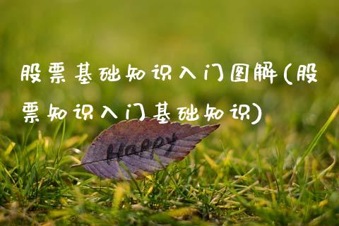 股票基础知识入门图解(股票知识入门基础知识)_https://www.hbaoqiang.com_理财百科_第1张