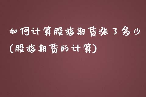 如何计算股指期货涨了多少(股指期货的计算)_https://www.hbaoqiang.com_德指期货_第1张