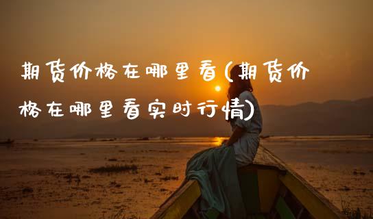 期货价格在哪里看(期货价格在哪里看实时行情)_https://www.hbaoqiang.com_交易心态_第1张