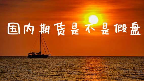 国内期货是不是假盘_https://www.hbaoqiang.com_期货行情_第1张