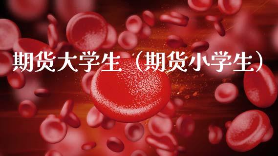 期货大学生（期货小学生）_https://www.hbaoqiang.com_期货入门_第1张