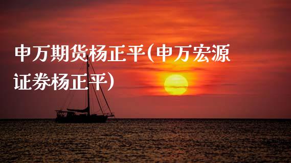 申万期货杨正平(申万宏源证券杨正平)_https://www.hbaoqiang.com_恒指期货_第1张