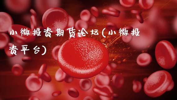 小微投资期货论坛(小微投资平台)_https://www.hbaoqiang.com_原油期货_第1张