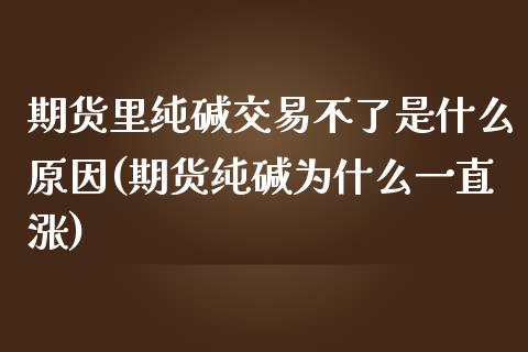 期货里纯碱交易不了是什么原因(期货纯碱为什么一直涨)_https://www.hbaoqiang.com_纳指期货_第1张