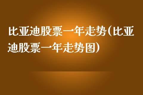 比亚迪股票一年走势(比亚迪股票一年走势图)_https://www.hbaoqiang.com_内盘期货_第1张