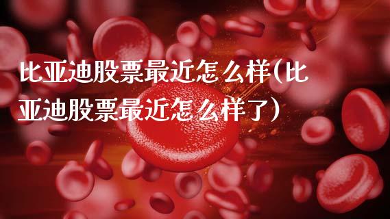 比亚迪股票最近怎么样(比亚迪股票最近怎么样了)_https://www.hbaoqiang.com_纳指期货_第1张