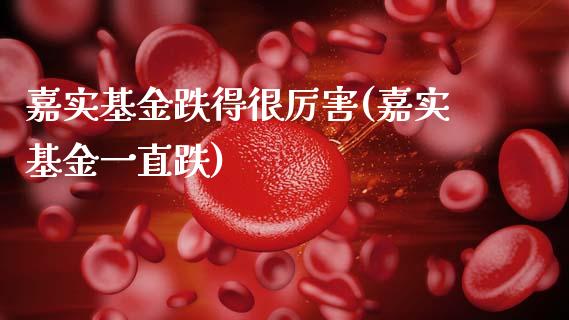 嘉实基金跌得很厉害(嘉实基金一直跌)_https://www.hbaoqiang.com_理财百科_第1张