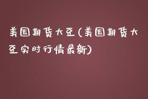 美国期货大豆(美国期货大豆实时行情最新)_https://www.hbaoqiang.com_基金投资_第1张