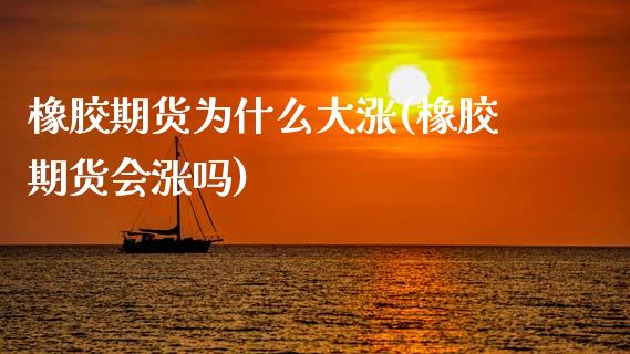 橡胶期货为什么大涨(橡胶期货会涨吗)_https://www.hbaoqiang.com_期货手续费_第1张