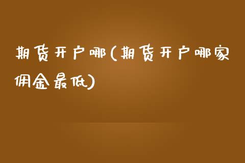 期货开户哪(期货开户哪家佣金最低)_https://www.hbaoqiang.com_实战心得_第1张