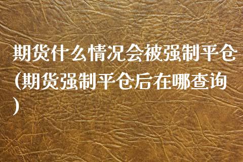 期货什么情况会被强制平仓(期货强制平仓后在哪查询)_https://www.hbaoqiang.com_期货开户_第1张