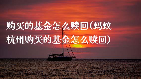 购买的基金怎么赎回(蚂蚁杭州购买的基金怎么赎回)_https://www.hbaoqiang.com_期货入门_第1张