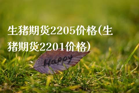 生猪期货2205价格(生猪期货2201价格)_https://www.hbaoqiang.com_原油期货_第1张