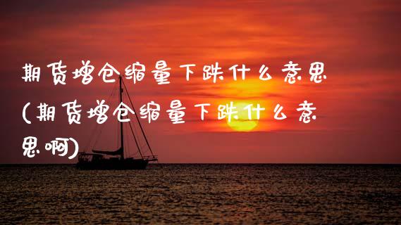 期货增仓缩量下跌什么意思(期货增仓缩量下跌什么意思啊)_https://www.hbaoqiang.com_期货开户_第1张
