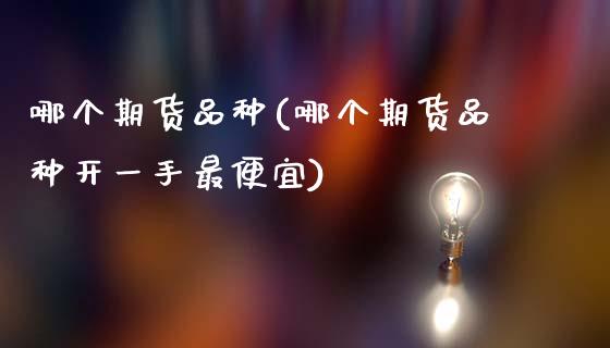 哪个期货品种(哪个期货品种开一手最便宜)_https://www.hbaoqiang.com_国际期货_第1张