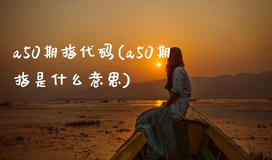 a50期指代码(a50期指是什么意思)_https://www.hbaoqiang.com_期货手续费_第1张