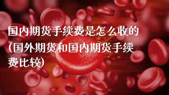 国内期货手续费是怎么收的(国外期货和国内期货手续费比较)_https://www.hbaoqiang.com_理财百科_第1张