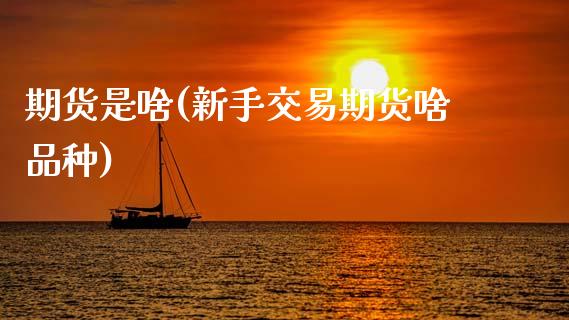 期货是啥(新手交易期货啥品种)_https://www.hbaoqiang.com_期货直播_第1张