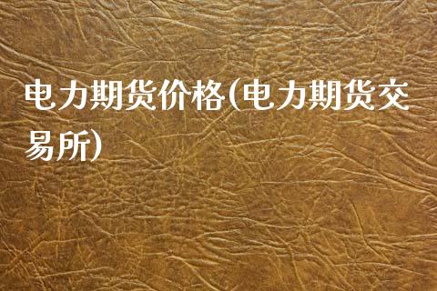 电力期货价格(电力期货交易所)_https://www.hbaoqiang.com_期货手续费_第1张