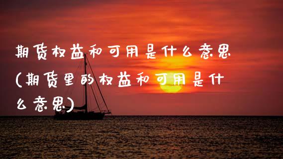 期货权益和可用是什么意思(期货里的权益和可用是什么意思)_https://www.hbaoqiang.com_期货开户_第1张