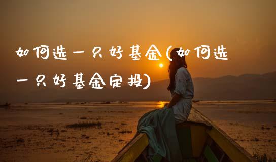 如何选一只好基金(如何选一只好基金定投)_https://www.hbaoqiang.com_期货直播_第1张