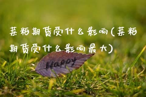 菜粕期货受什么影响(菜粕期货受什么影响最大)_https://www.hbaoqiang.com_期货故事_第1张