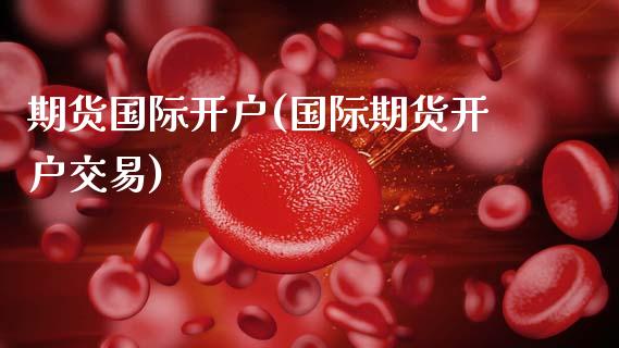 期货国际开户(国际期货开户交易)_https://www.hbaoqiang.com_原油期货_第1张