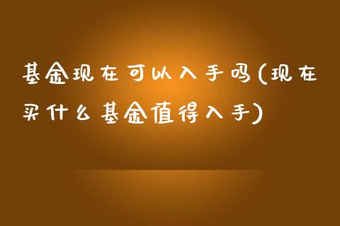 基金现在可以入手吗(现在买什么基金值得入手)_https://www.hbaoqiang.com_恒指期货_第1张